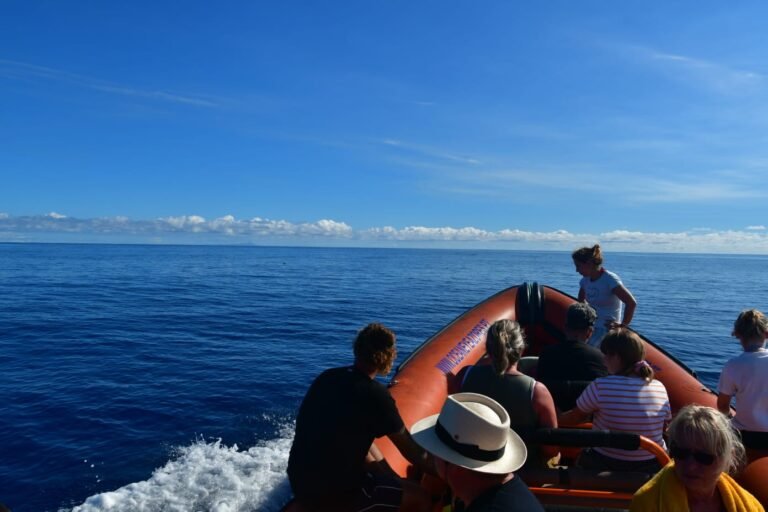 whale watching boat oceaneye azores