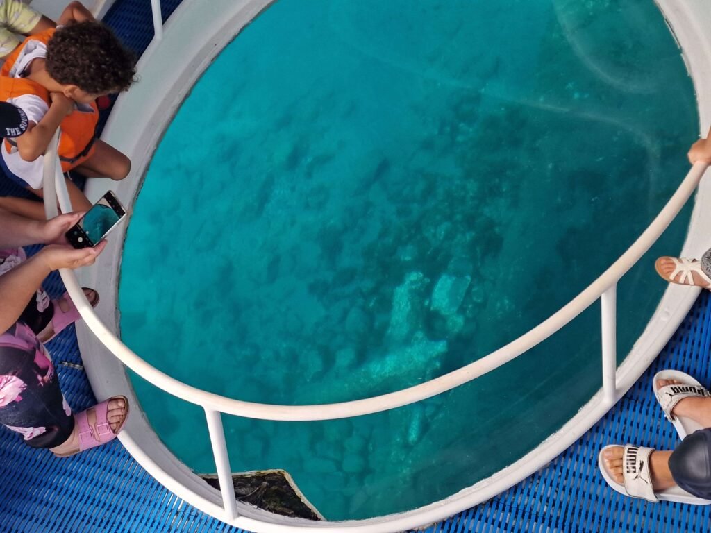 observacao fundo mar em barco fundo vidro tiny